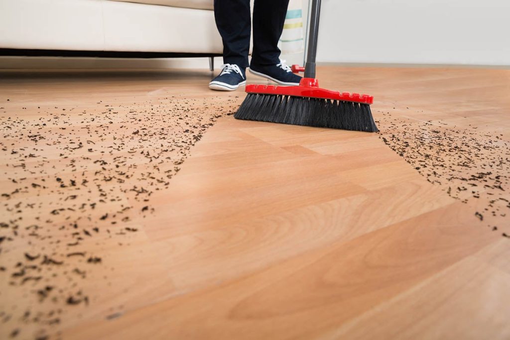 10 Best Brooms for Hardwood Floors Reviews in 2023 (Top Picks) Online