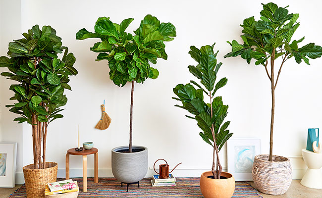 best-fake-plants-for-house