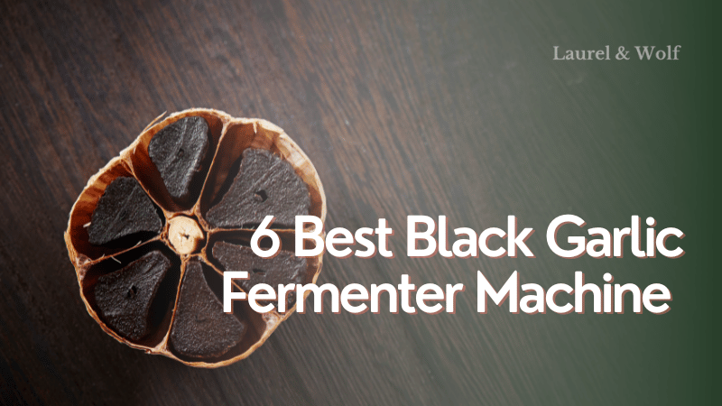 Best Black Garlic Fermenter Machine